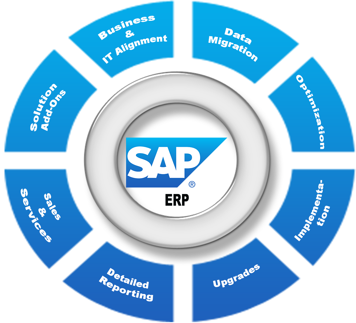 Sap Software Program Solutions